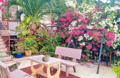 Vung Tau Apartment | The Hill Vũng Tàu Homestay