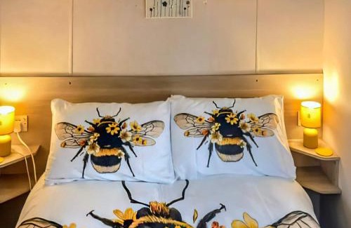 Hawick House | The Hive