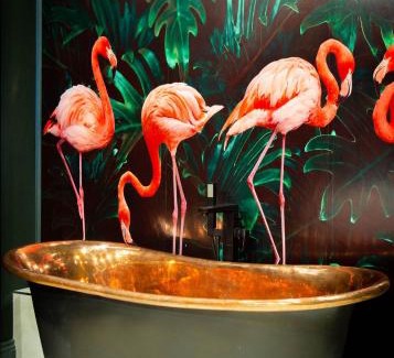Chester Hotel | The Hotel Chester