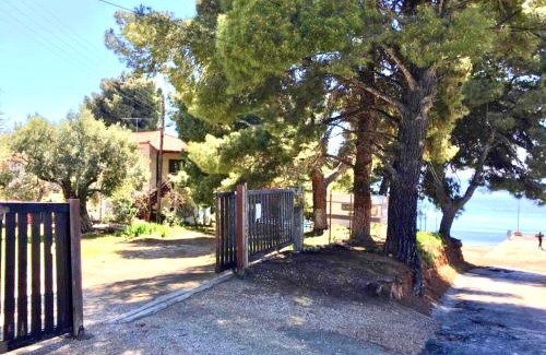 Metamorfosi Apartment | The House by the Sea