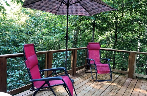 Hayesville Cottage | The Hummingbird Hideaway in Shooting Creek. Pet Friendly!
