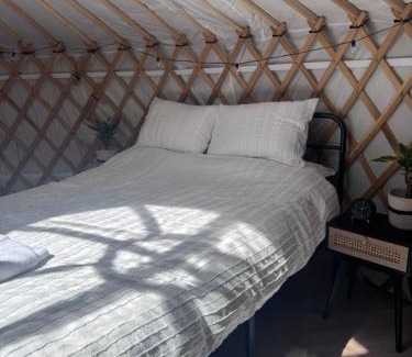 Messing Other | The Isla Yurt
