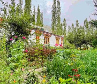Nubra Valley Hotel | The Kesar Guest House Sumoor