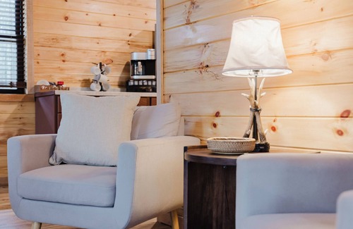 Saint Helens Cabin | The Lazy Maple in RRG - Fire pit/hot tub/arcade/wifi