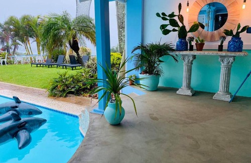 Scottburgh Bed & Breakfast | ThE LaZy ShArK