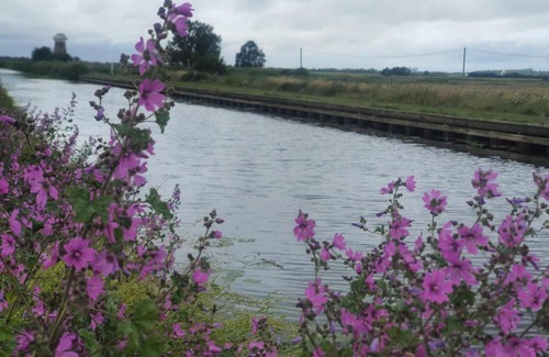 West Somerton Bed & Breakfast | The Lion
