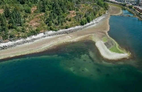 Powell River Other | The Little Beach Side CabinA11