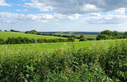Storrington House | The Lodge