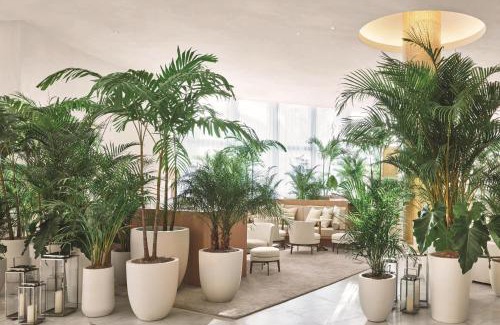 Mid Beach Hotel | The Miami Beach EDITION