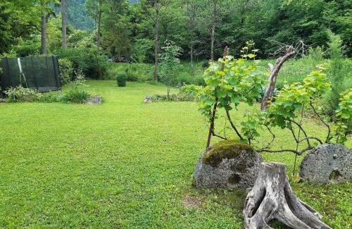 Bled House | The Millhouse Bled