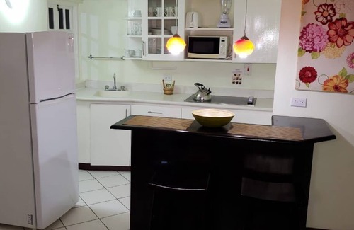 Ocho Rios Apartment | The Mystic View of Ocho Rios