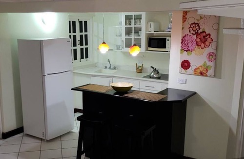 Ocho Rios Apartment | The Mystic View of Ocho Rios