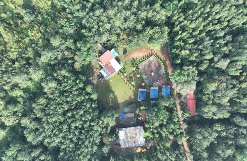 Chikkamagaluru House | The Nature’s nest