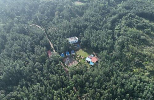 Chikkamagaluru House | The Nature’s nest