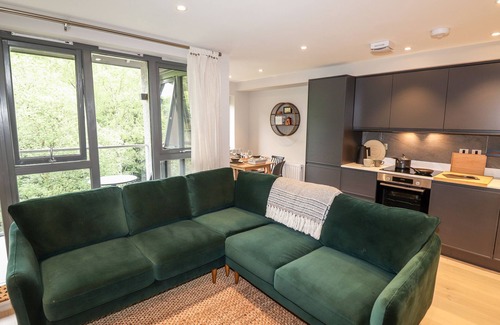 Backbarrow Apartment | THE NEST (39 IRONWORKS), pet friendly in Newby Bridge