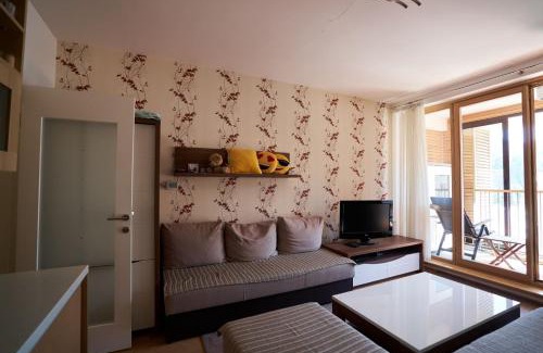 Bjelasnica Apartment | The Nest - harmony place to spend a mountain brake