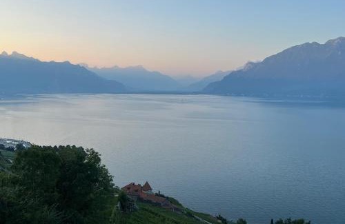 Chardonne Apartment | The Nest Lavaux