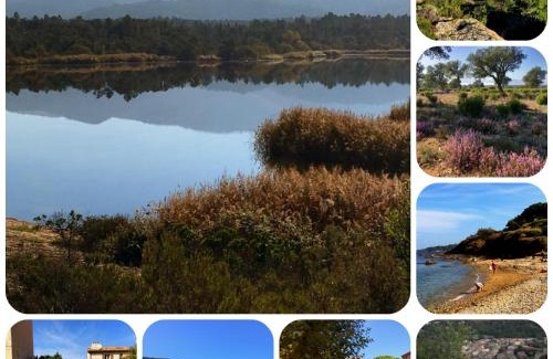 La Garde-Freinet House | The Nut House