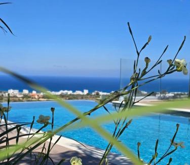 Protaras Villa | The Oasis