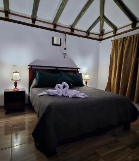 Villa de Leyva House | The olive tree