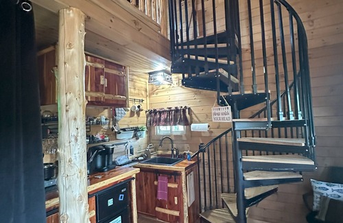 Hamptonville Cabin | The Orchard Cabin – cozy retreat among apple trees