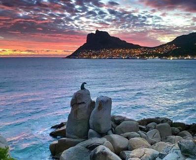 Helgarda Estate Apartment | The Palm Hout Bay