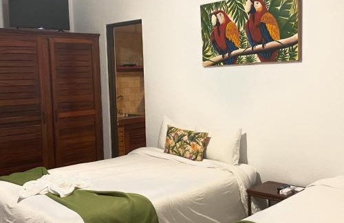 Coco Hotel | The Palms At Coco Beach