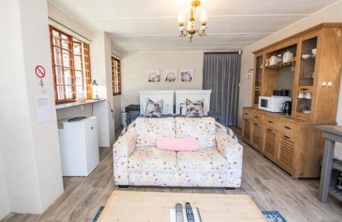 Plettenberg Bay House | The Paper Fig House
