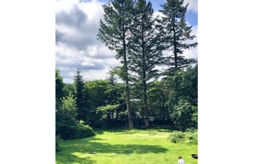 Clausthal-Zellerfeld House | The parents' house Comfortable holiday residence