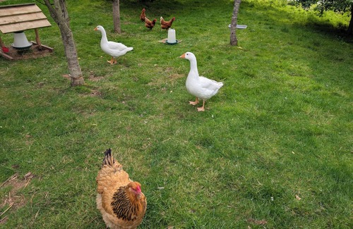 Cradley House | The Piggery, located at the foot of the Malverns
