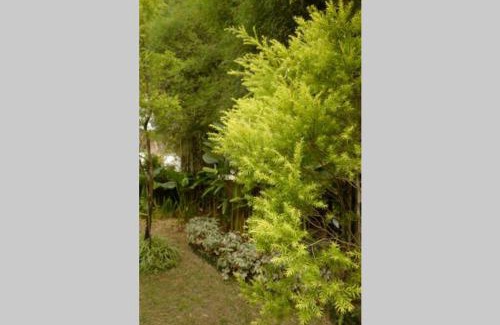 Ciawi Villa | The Pines Vimala Hills