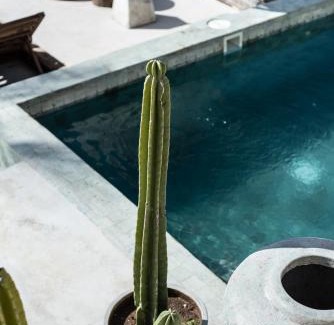 Penida Island Hotel | The Raja Lima hotel