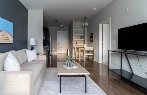 Downtown Apartment | The Raleigh II Vibe 8723