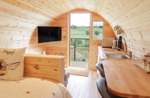 Llanfair Caereinion House | The Rhiw