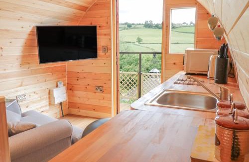 Llanfair Caereinion House | The Rhiw