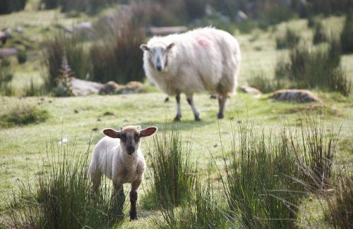 Dungloe Bed & Breakfast | The River House