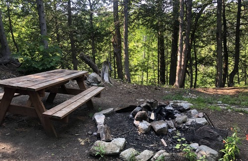 Central Frontenac Cabin | The Robin's Nest Private Woodland Cabin