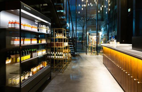 Ginza Hotel | The Royal Park Canvas - Ginza 8