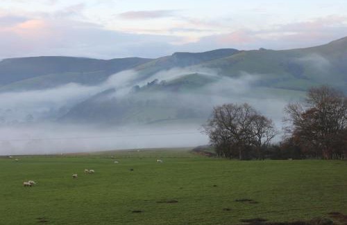 Llanbrynmair Hotel | The Royston