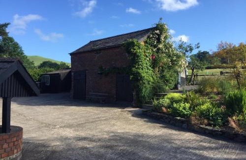 Llanbrynmair Hotel | The Royston