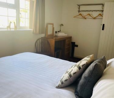 Totnes Hotel | The Sea Trout Inn