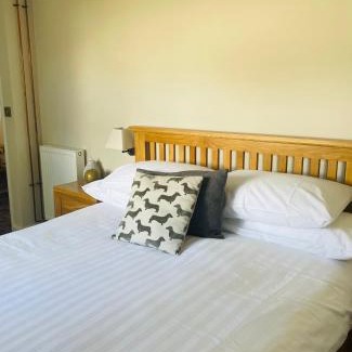 Totnes Hotel | The Sea Trout Inn