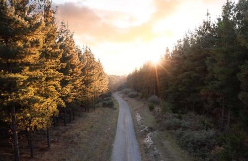 Creswick Apartment | The Sebel Creswick Forest Resort