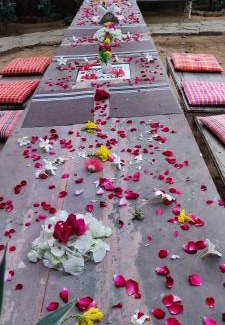 Pushkar Bed & Breakfast | the secret garden