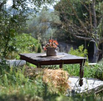 Calcata Other | The SkyRoom - AUT vita sotto gli alberi