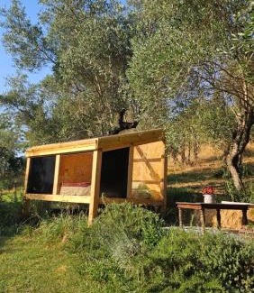 Calcata Other | The SkyRoom - AUT vita sotto gli alberi