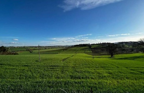 Badiola Other | The small farm in the Umbrian countryside