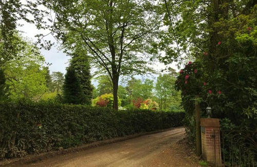 New Forest District House | The Squirrels