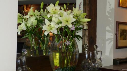 New Forest District Hotel | The Stag Hotel and Mailmans Arms