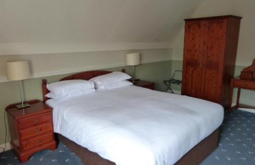 New Forest District Hotel | The Stag Hotel and Mailmans Arms